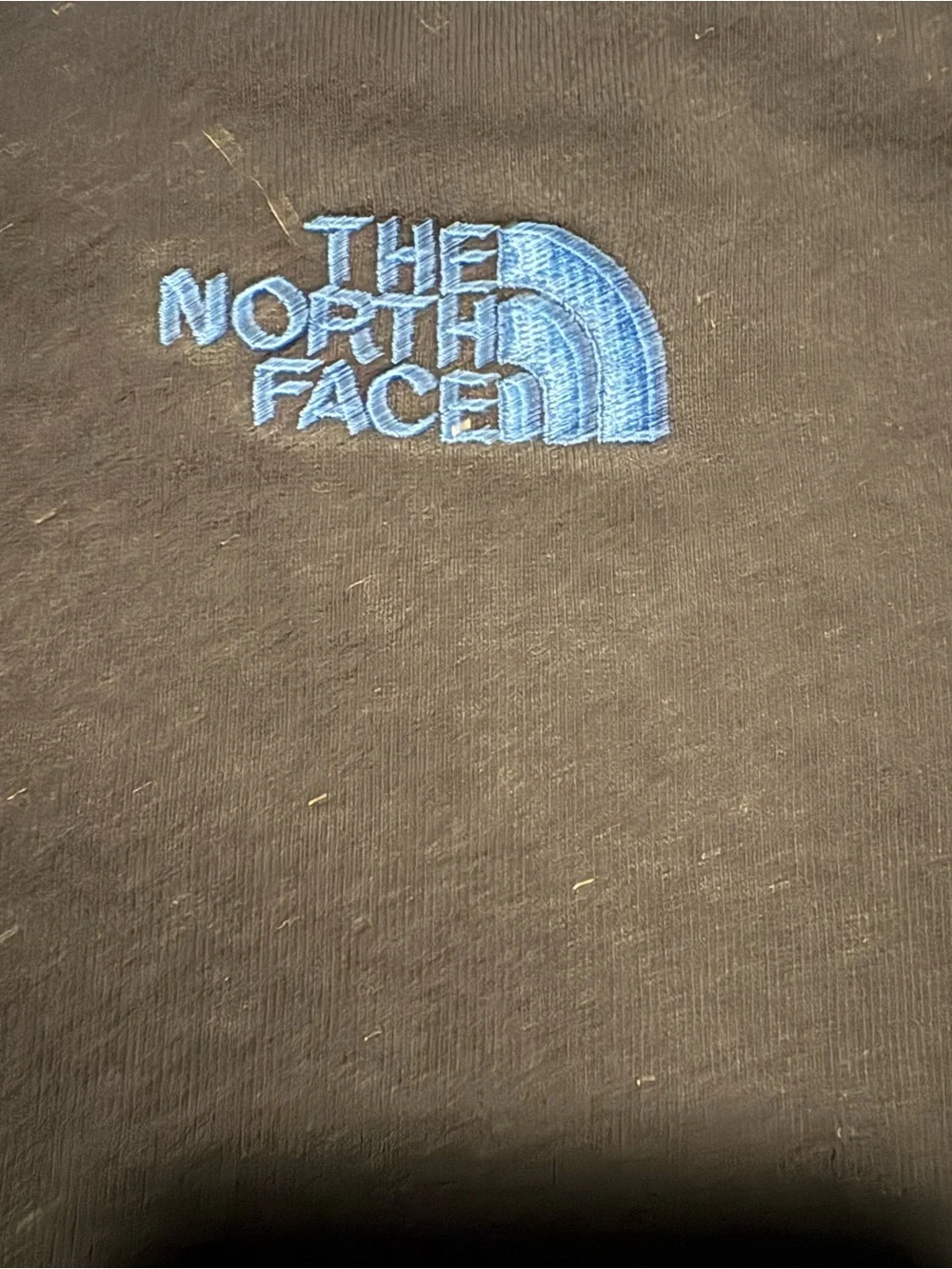 The North Face Black Hoodie with Light Blue Trim